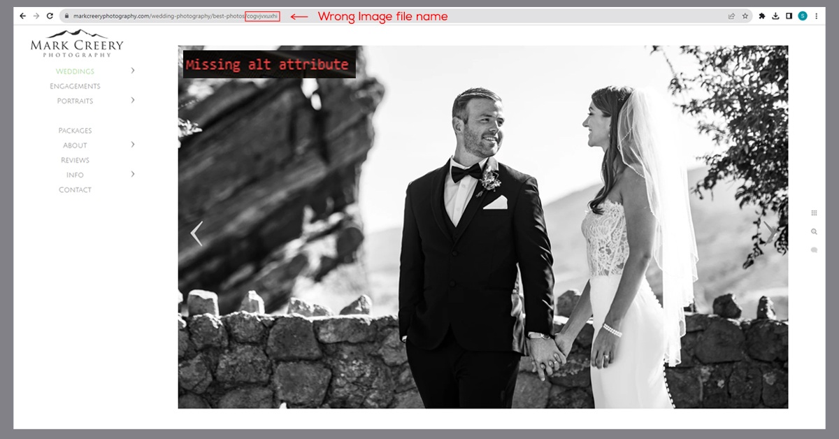 bad example of image alt text bad example of image alt text